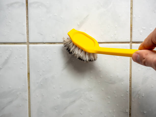 Best Mold Remediation  in Mascotte, FL