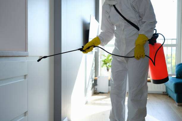 Best Commercial Mold Removal  in Mascotte, FL