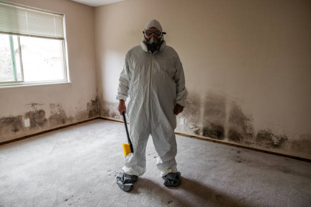 Best Mold Removal Specialists  in Mascotte, FL